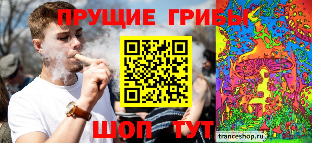 Нижний Новгород  цены   Галлюциногенные грибы прущие грибы  Вход с VPN  Галлюциногенные грибы MAGIC MUSHROOMS 